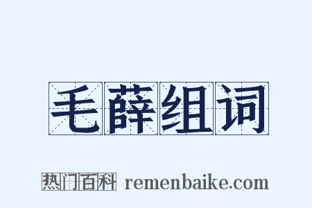 毛薛组词是什么意思的图片